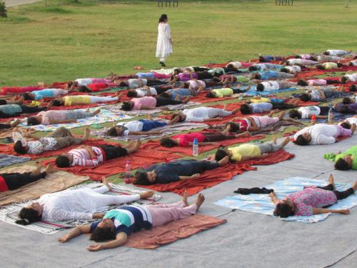 Yoga Camp Activity